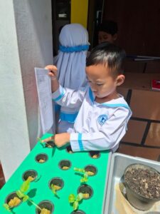 Serunya Menjadi Detektif Tanaman